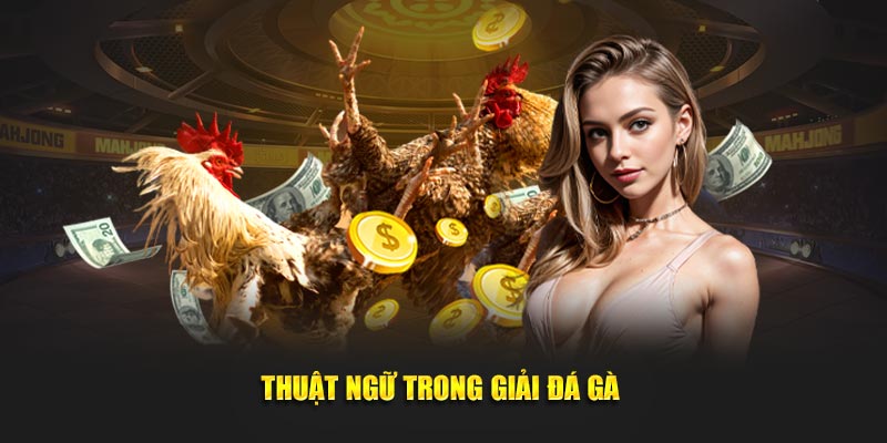 Tổng hợp những thuật ngữ trong giải đấu chiến kê 